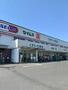 ドラックストア　セイムス青梅藤橋店（ドラッグストア）まで1000m