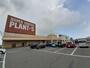 スーパー　PLANT5横越店（スーパー）まで964m