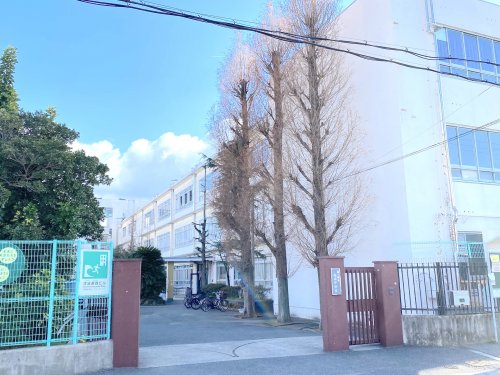 中学校　高石市立高南中学校（中学校）まで460m