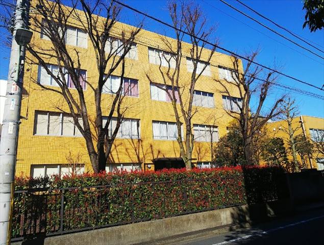 大学・短大　東邦大学医学部看護学部（大学・短大）まで336m
