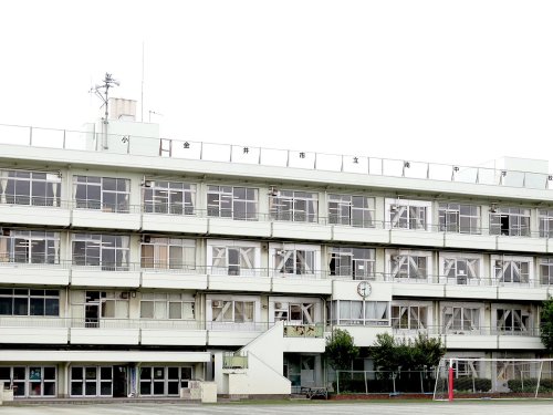 中学校　小金井市立 南中学校（中学校）まで791m
