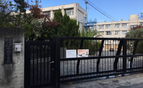 中学校　羽曳野市立峰塚中学校（中学校）まで1275m