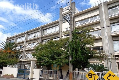 小学校　高石市立加茂小学校（小学校）まで163m