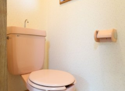 トイレ　落ち着いた色調のトイレです♪