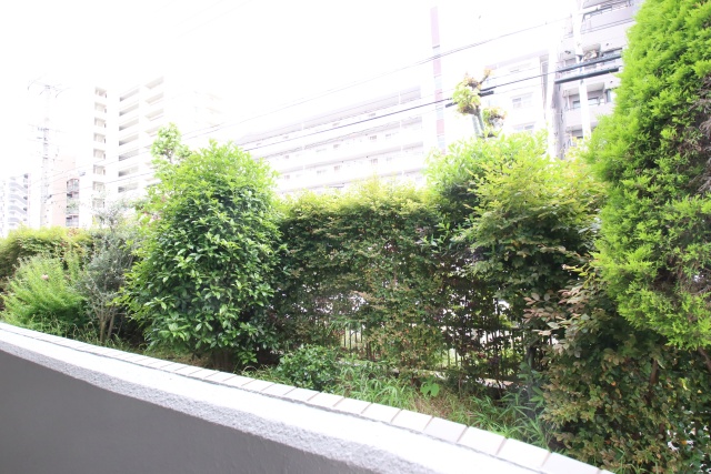 眺望　※別室の参考写真の為、現況優先です。