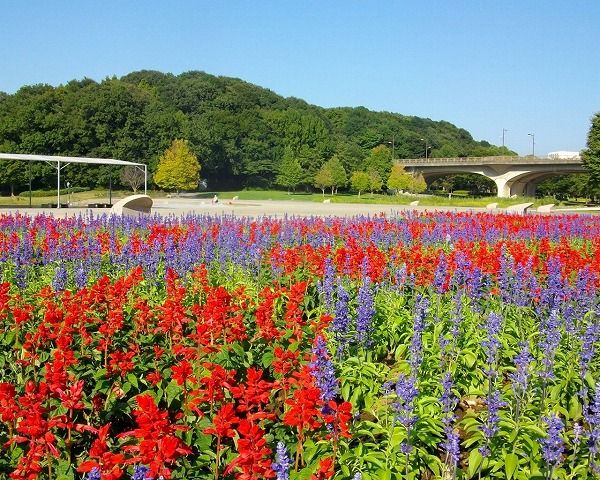 公園　21世紀の森と広場（公園）まで1364m