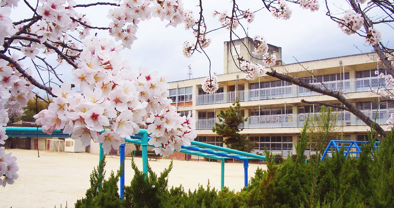 小学校　大和郡山市立片桐西小学校（小学校）まで1088m