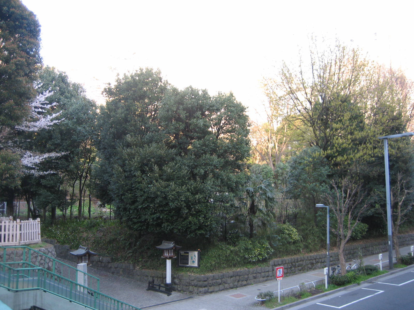 公園　区立新宿中央公園（公園）まで695m