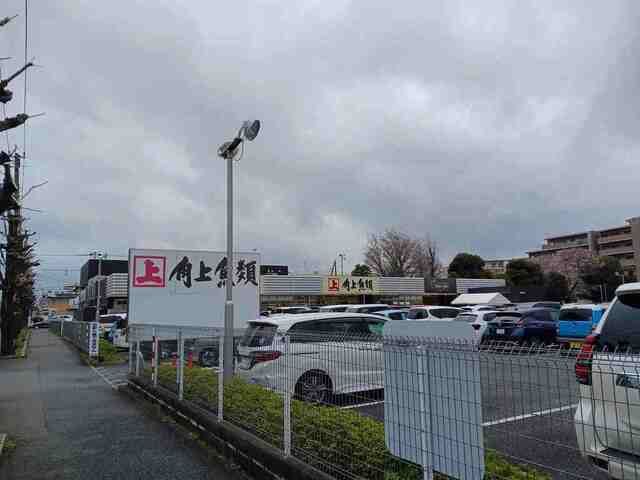 その他　角上魚類（その他）まで260m