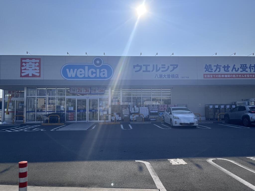 ドラックストア　ウエルシア八潮大曽根店（ドラッグストア）まで655m