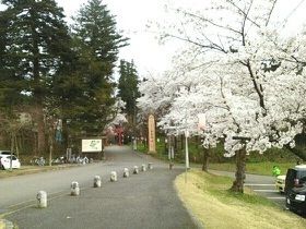 公園　悠久山公園（公園）まで1380m