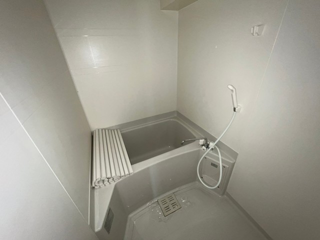 バス・シャワールーム　別号室の写真です