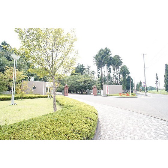 大学・短大　私立日本大学工学部（大学・短大）まで1012m