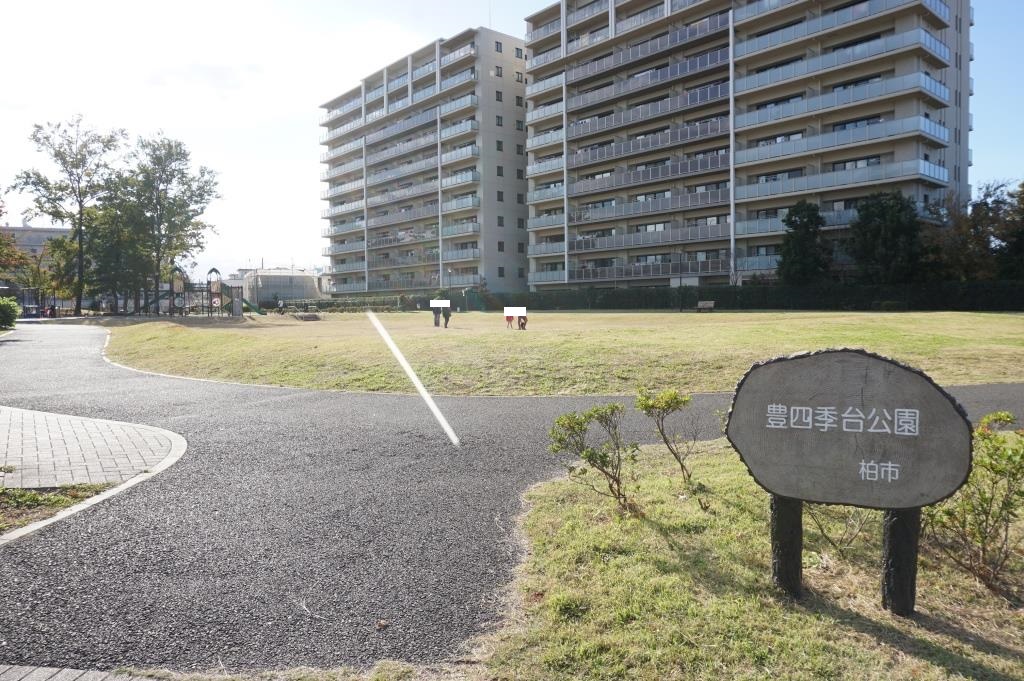 公園　豊四季台公園（公園）まで372m