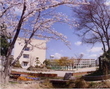 その他　豊中市立第１５中学校（その他）まで240m