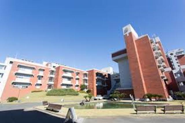 大学・短大　東京薬科大学（大学・短大）まで1198m