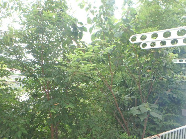 眺望　他のお部屋の参考写真となります。