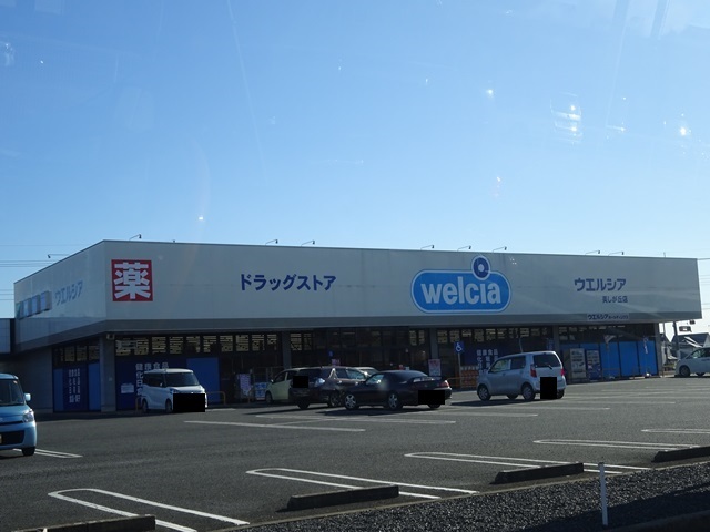 ドラックストア　ウエルシア 美しが丘店（ドラッグストア）まで1354m