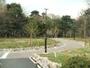 公園　江古田の森公園（公園）まで1058m