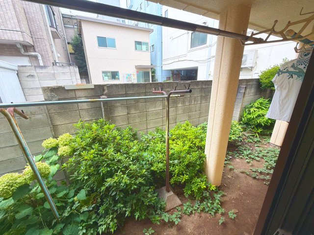 庭