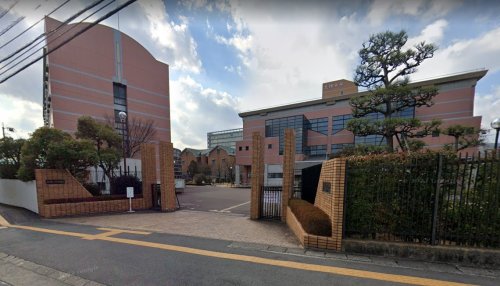 大学・短大　徳島文（大学・短大）まで335m
