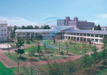 その他　私立青森大学東京キャンパス（その他）まで1370m