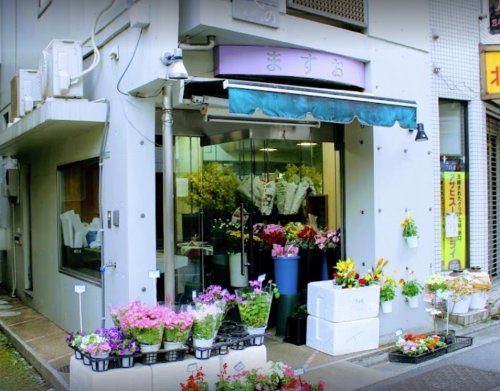 その他　花のますお（その他）まで647m