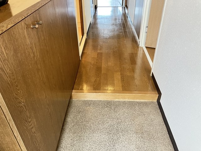 玄関　同物件別部屋（別階数）です