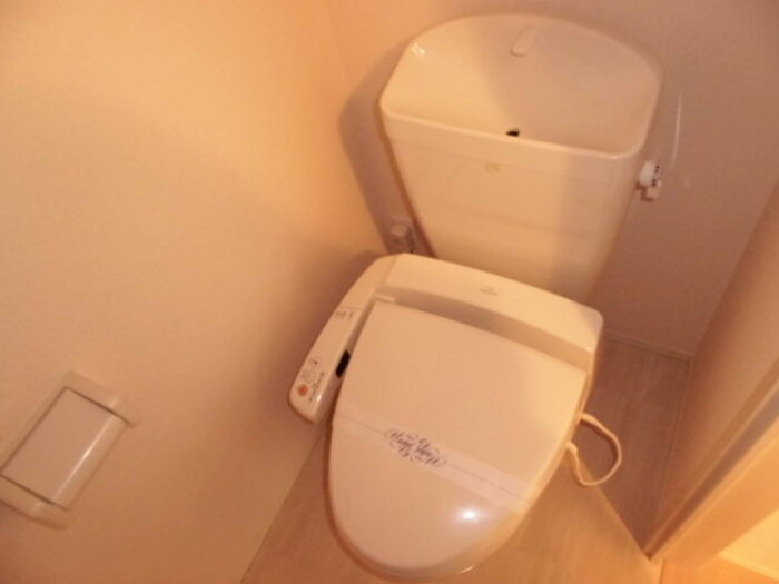 とさでん交通桟橋線 桟橋通五丁目駅 徒歩12分 3階建 築16年のトイレ写真
