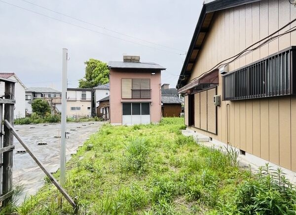 庭