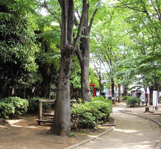 公園　中央緑地公園（公園）まで456m