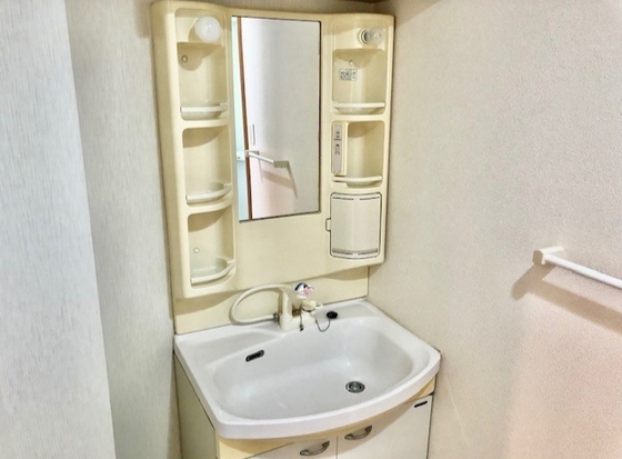 洗面設備　※他号室の写真です