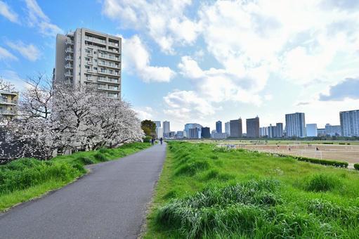 その他　多摩川緑地（その他）まで750m