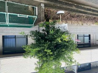 その他共有部分　ゴミ置き場です。