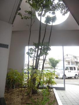 ステージ　その他共有部分　エントランス