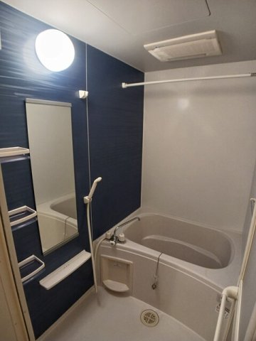 バス・シャワールーム　コンパクトで使いやすいお風呂です