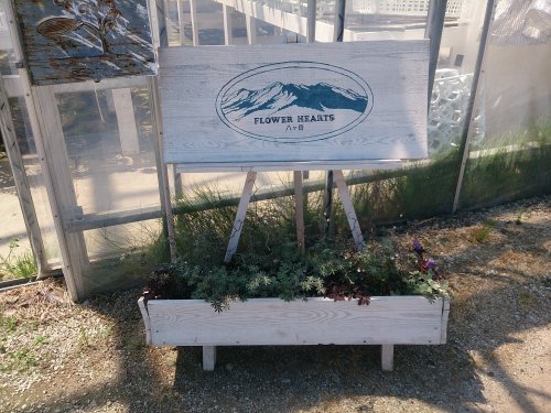 その他　フラワーハーツ八ヶ岳（その他）まで2146m