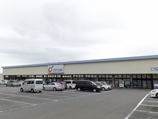 ドラックストア　カワチ薬品ひたちなか店（ドラッグストア）まで507m