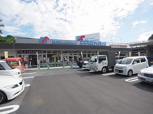 スーパー　万代　学園前店（スーパー）まで1260m
