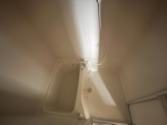 バス・シャワールーム　※別部屋の写真です