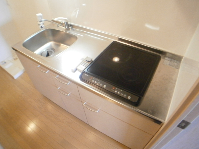 キッチン　参考写真（同物件他号室）