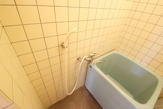 バス・シャワールーム　※別号室のお写真です