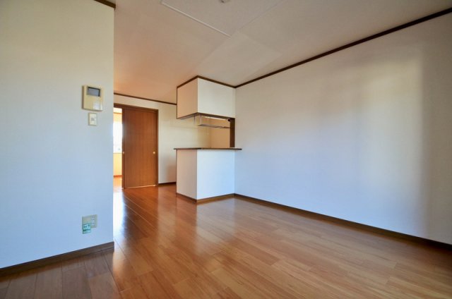 居室・リビング　１２．４帖のリビング