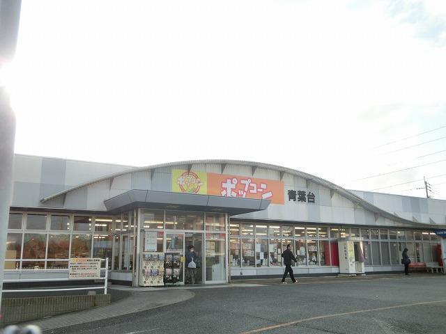 スーパー　ポップコーン青葉台店（スーパー）まで543m