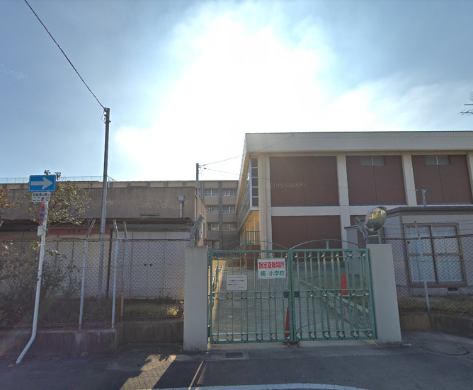 小学校　泉大津市立楠小学校（小学校）まで674m