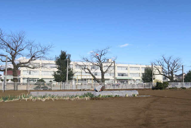 小学校　武蔵村山市立第九小学校（小学校）まで210m