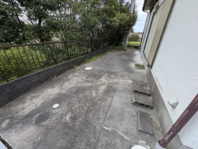 庭