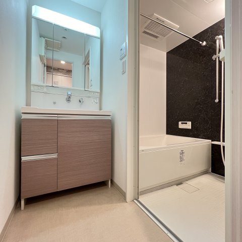 洗面設備　同仕様タイプです