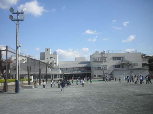 小学校　世田谷区立桜丘小学校（小学校）まで572m