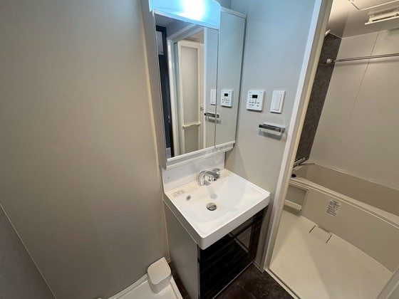洗面設備　※別部屋の写真です